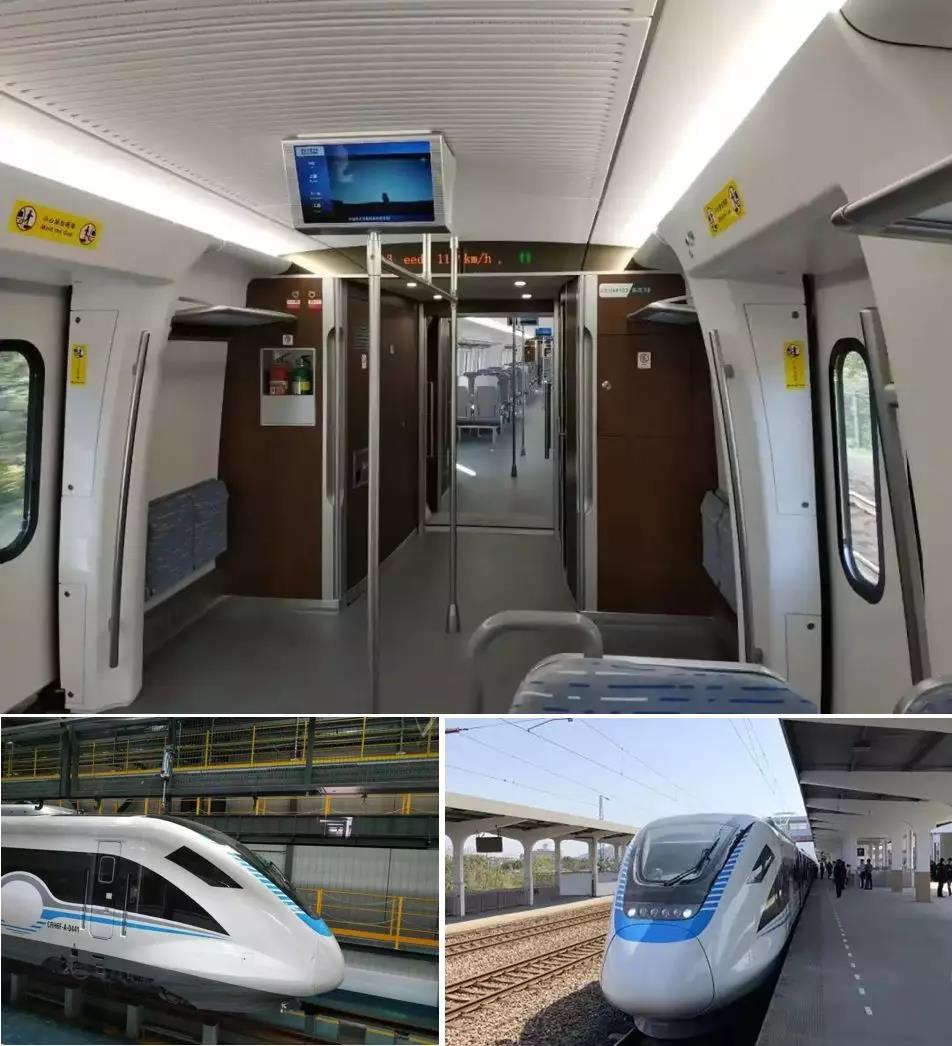 1592989442.jpg 1.jpg