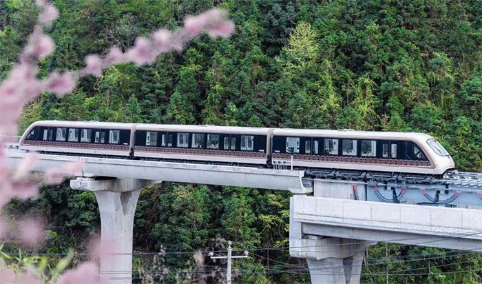 1651722817194519.jpg 640 (2).jpg